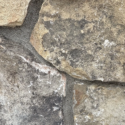 Montana Moss Rock